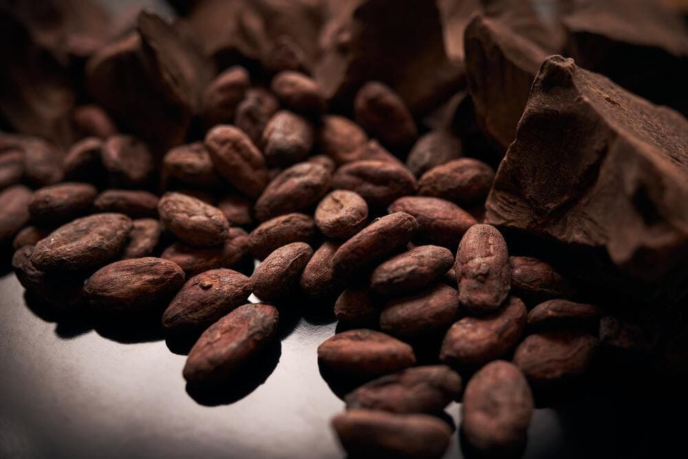 cocoa beans